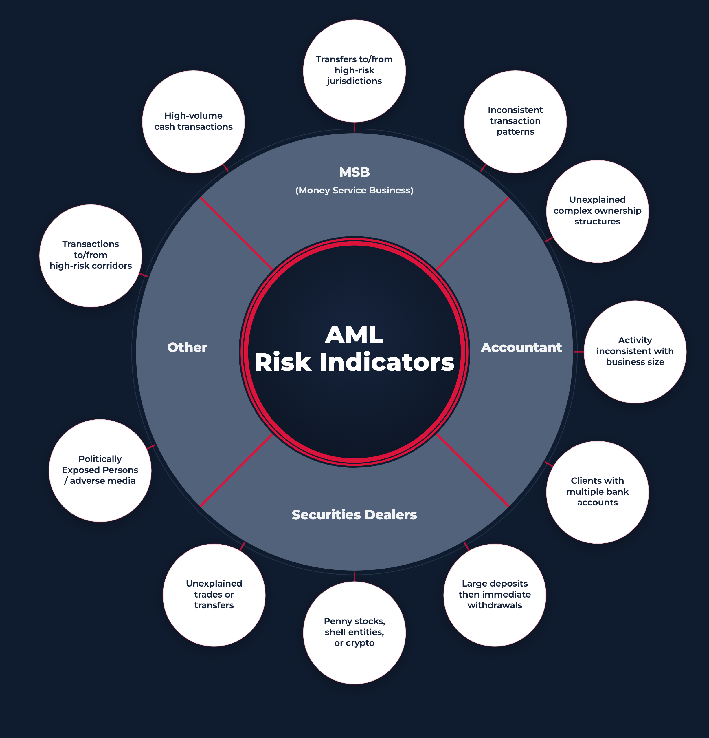 AML Risk Indicators taxonomy — risk signals mapped across MSB, securities dealers, accountants, and other reporting entities